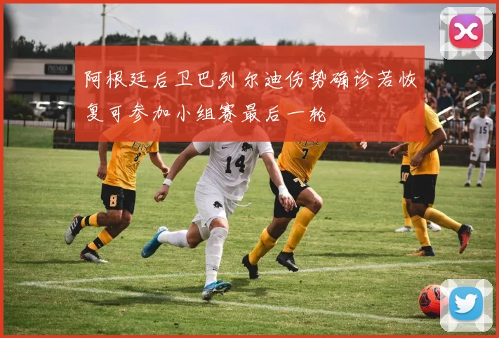 阿根廷后卫巴列尔迪伤势确诊若恢复可参加小组赛最后一轮