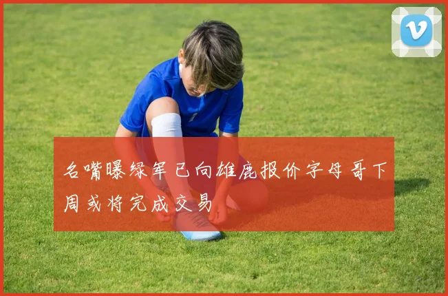 名嘴曝绿军已向雄鹿报价字母哥下周或将完成交易
